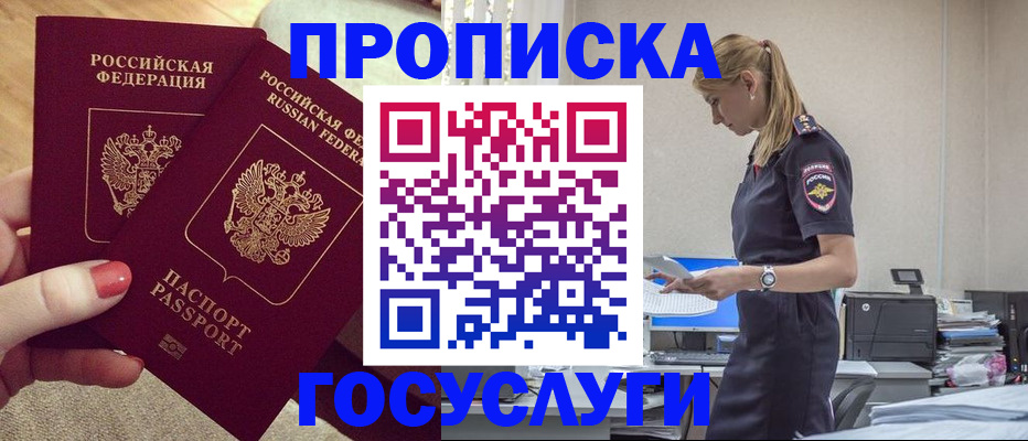 прописка поиск в Бийске